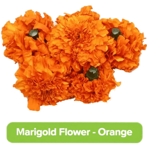 Fresho Marigold Flower – Orange, 1 kg