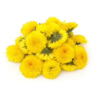 Fresho Chrysanthemum/Shevanti Flower, 100 g